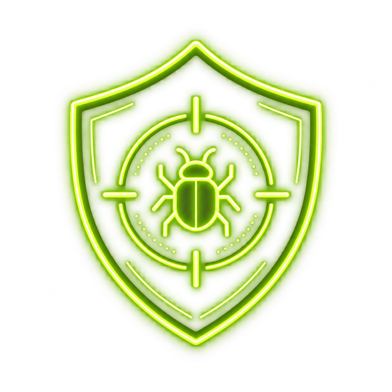 Ethical Hacking